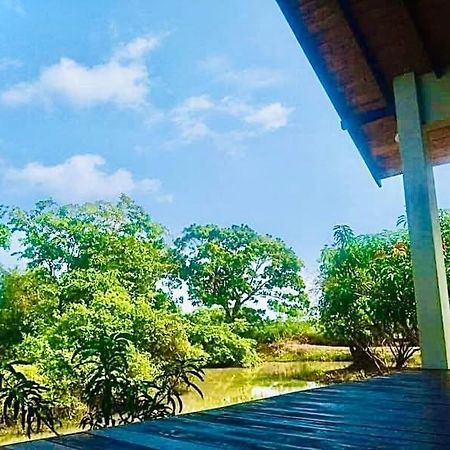 Thihawa Eco Huts Yala Bed & Breakfast Tissamaharama Exterior photo