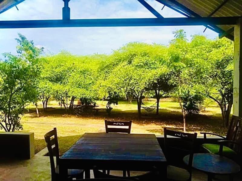 Thihawa Eco Huts Yala Bed & Breakfast Tissamaharama Exterior photo