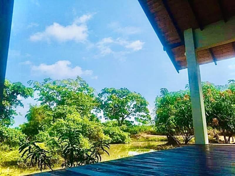 Thihawa Eco Huts Yala Bed & Breakfast Tissamaharama Exterior photo
