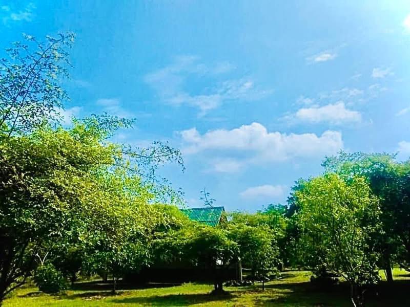 Thihawa Eco Huts Yala Bed & Breakfast Tissamaharama Exterior photo