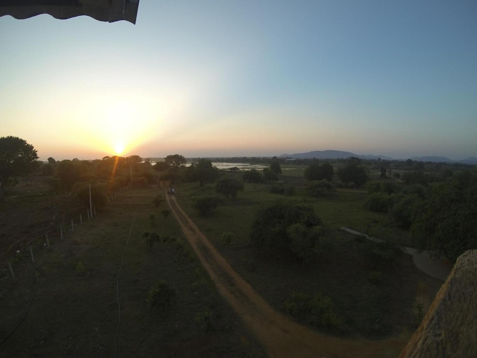 Thihawa Eco Huts Yala Bed & Breakfast Tissamaharama Exterior photo