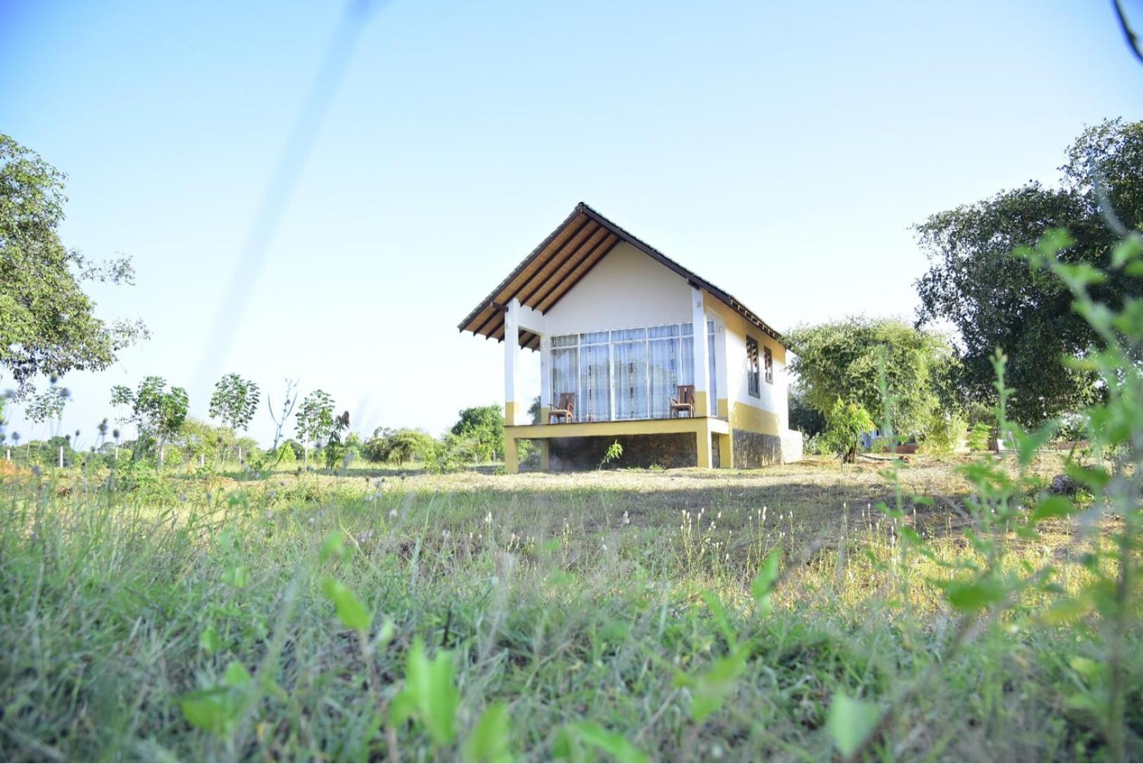 Thihawa Eco Huts Yala Bed & Breakfast Tissamaharama Exterior photo