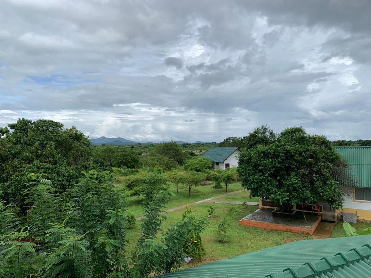 Thihawa Eco Huts Yala Bed & Breakfast Tissamaharama Exterior photo