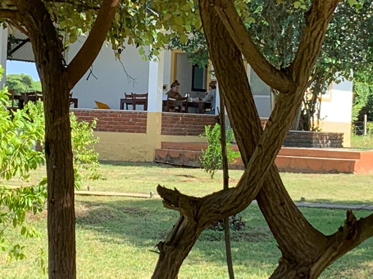 Thihawa Eco Huts Yala Bed & Breakfast Tissamaharama Exterior photo