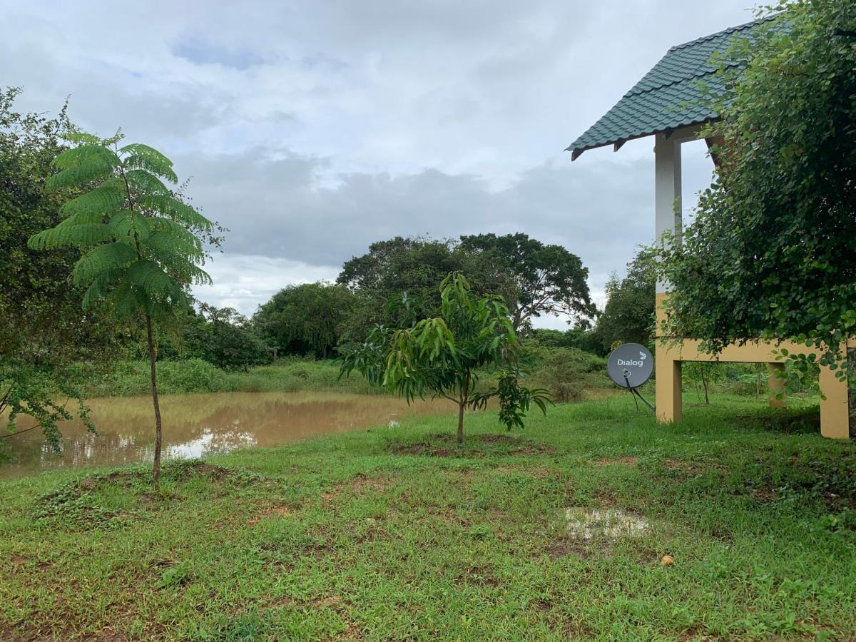 Thihawa Eco Huts Yala Bed & Breakfast Tissamaharama Exterior photo