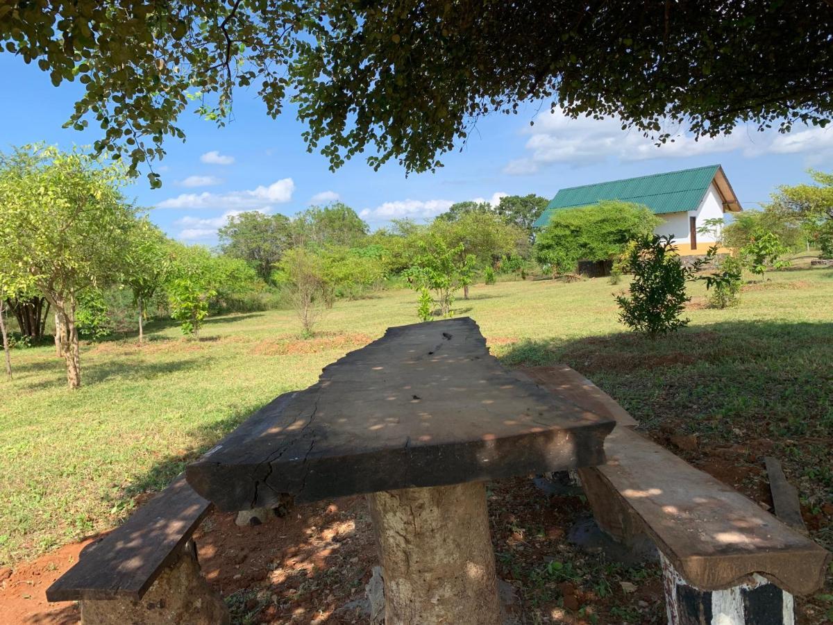 Thihawa Eco Huts Yala Bed & Breakfast Tissamaharama Exterior photo